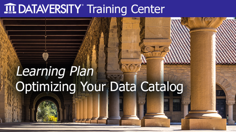 Optimizing Your Data Catalog Learning Plan
